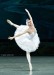 anastasia-matvienko-in-swan-lake-with-the-national-ballet-of-ukraina-4